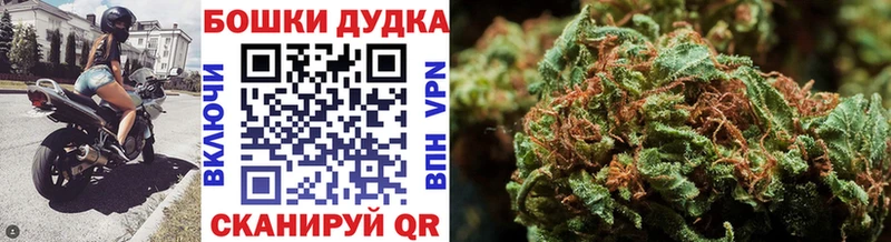 Конопля марихуана где найти наркотики Кодинск